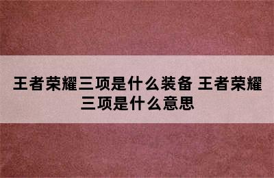 王者荣耀三项是什么装备 王者荣耀三项是什么意思